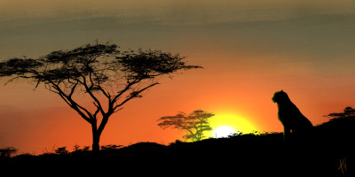 African Sunset