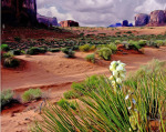 Monument Valley