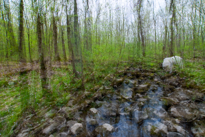 Rocky Stream Part I