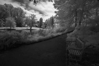 Garden Path Bench