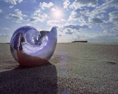 Chrome Nautilus 2