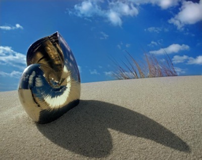 Chrome Nautilus 3