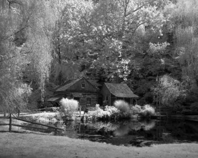 Cuttalossa Farm