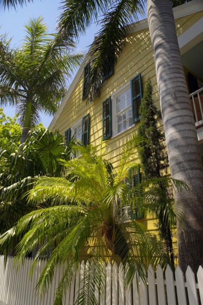 Palm House
