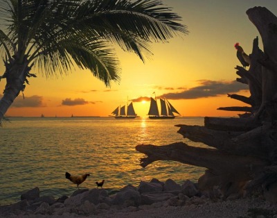 Key West Sunset Sail