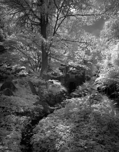 Morris Garden Path