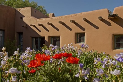 Taos Poppies