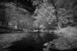 Tinicum Creek