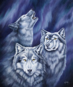 Auroran Wolves