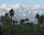 Winter in Palm Springs